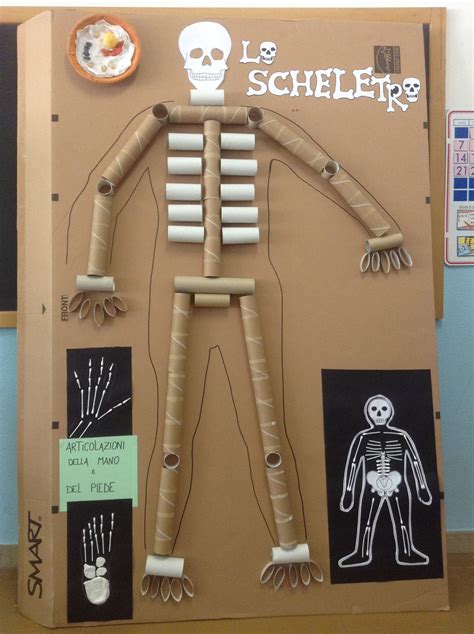 Project On Skeletal System