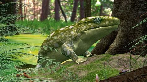 Devonian Animals - Devonian Fish Sidesteps Current Evolutionary Theory ...