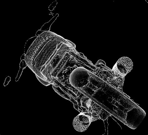 Tim S Motorcycle Diaries Naked Connie D Modelling Customized Motorcycle Bodywork