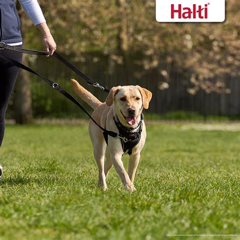 Halti Training Dog Lead Black Small