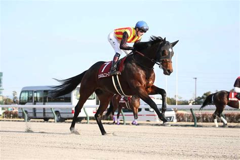 【3歳以上次走報】ウェルカムニュースはプロキオンsに向かう｜競馬ニュース｜競馬予想のウマニティ