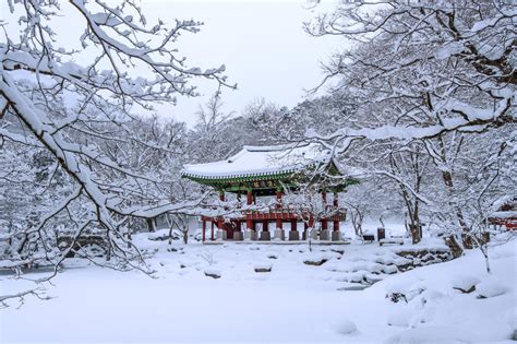 Musim Dingin Di Korea Selatan K Trivia Hellocation