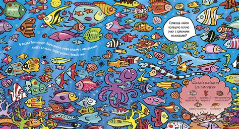 Книга "Найди акулу в океане" - Muffinbook - Магазин детских книг и товаров