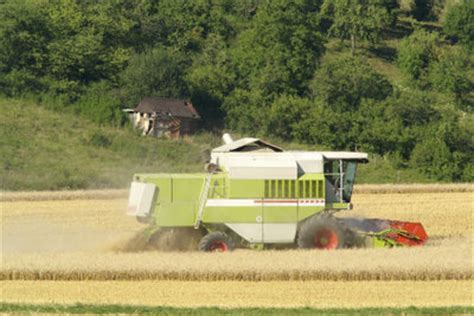Subventionen in der Landwirtschaft richtig beantragen - so geht's