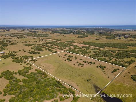5 Hectares Film 1