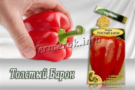 Перец Толстый Барон: описание сорта, выращивание, отзывы, фото