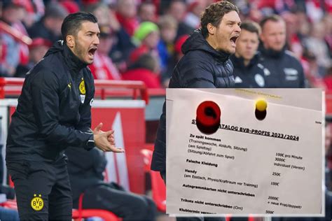 Edin Terzic Ltimas Noticias Del Entrenador Del Borussia De Dortmund