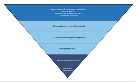 neonatal resuscitation program wall chart  edition aed