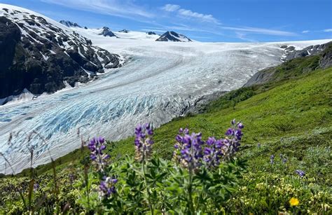 Best Views Trails In Kenai Fjords National Park Alltrails
