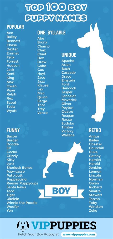 good puppy names names puppy dog dogs  corpsrepsphotography