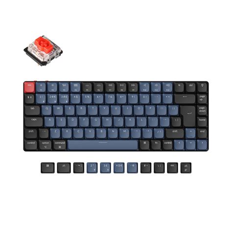 Keychron | Custom Mechanical Keyboards for Mac, Windows and Phones ...