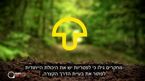 askomi אסקומי - YouTube