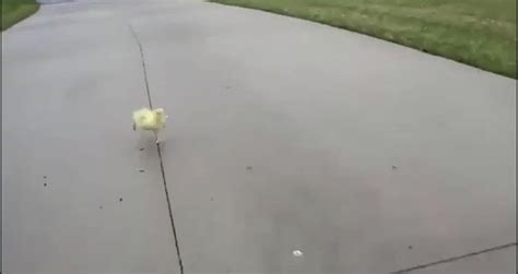 Lucy On Twitter Who The Fuck Changed The Sound Lmaoooo Https T Co Liyhdtzoci Twitter