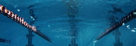 dive  luxury  fox pools premier swimming pools  egypt