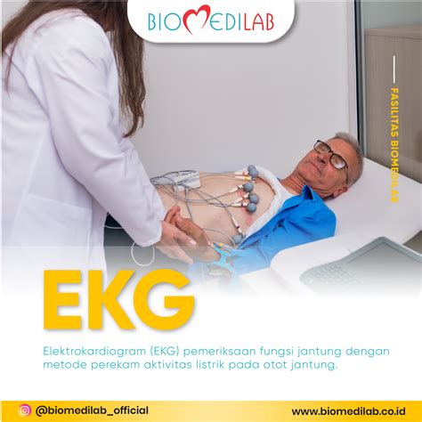 Elektrokardiogram Ekg
