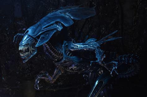 Aliens 1986 Queen