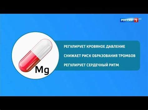 Магний и калий в продуктах питания: таблица с содержанием элементов