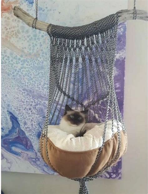 Pin by Анастасия on Кошки | Cat diy, Cat hammock, Macrame cat hammock