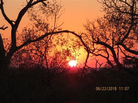 South African Safari — Travel With Nikki