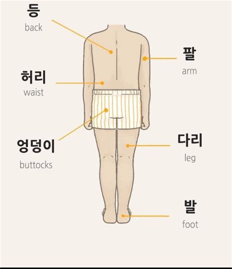 Body Parts In Korean Pt 2 Korean Language Amino