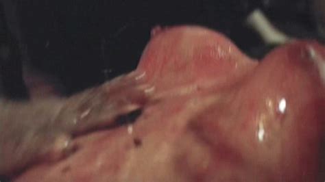 Naked Me Me Lai In Jungle Holocaust