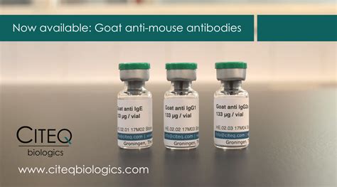 Citeq Antibodies Image Citeq Biologics