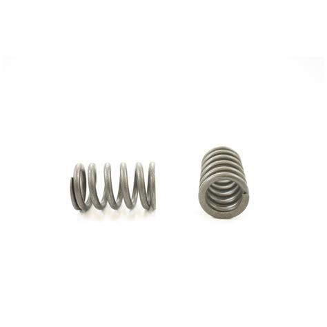 Valve Spring