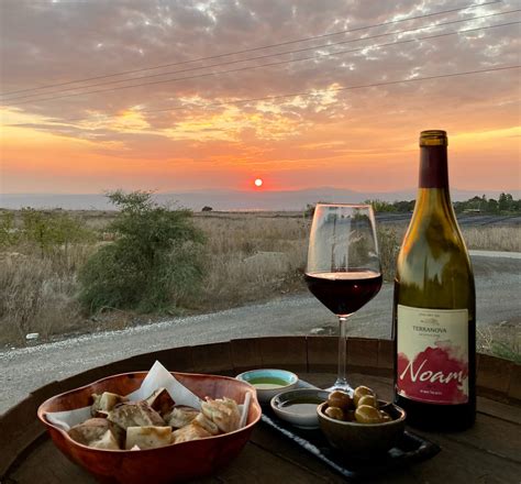 TerraNova - טרהנובה - יקב ומרכז מבקרים ברמת הגולן | גלריה