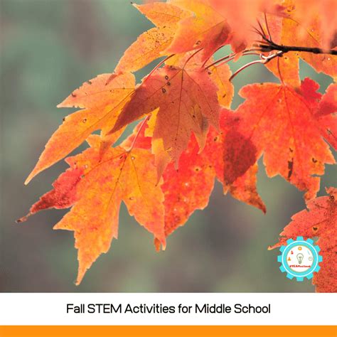 10 Hands On Fall Stem Activities For Middle School