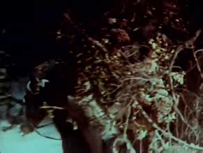 THE EROTIC ADVENTURES OF ROBIN HOOD NUDE SCENES AZNude