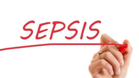 Apa Saja Yang Menjadi Penyebab Seseorang Mengalami Sepsis Berikut