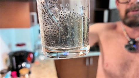 Traveling With CHIA The Naked Truth FullFrontal Life