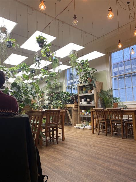 Botanical Babe Plants Llandudno Coffee Tea HappyCow