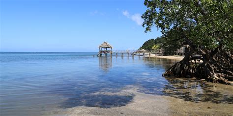 Punta Gorda Roatan Outdoor Project