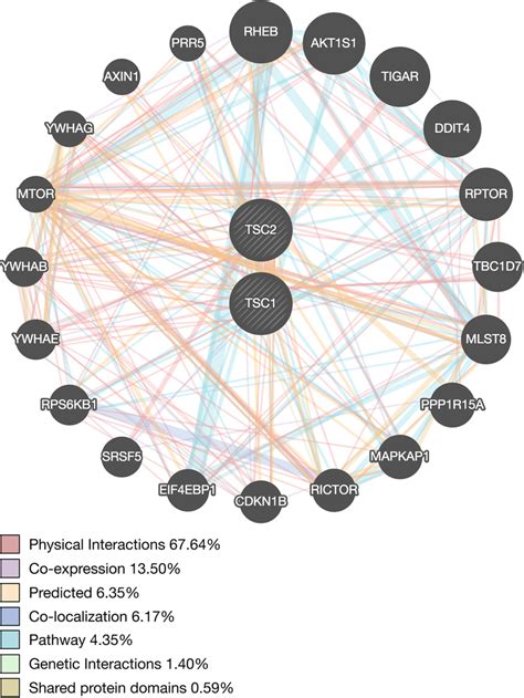 Network interaction graph illustrating physical interactions (pink ...
