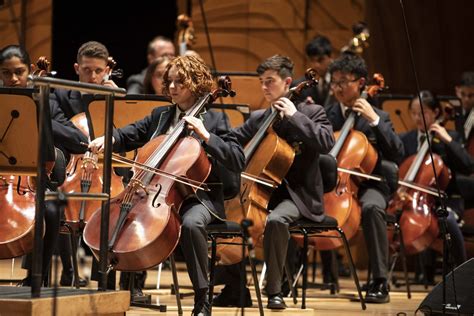 Excellence On Show At The Annual Concert Westbourne Grammar School