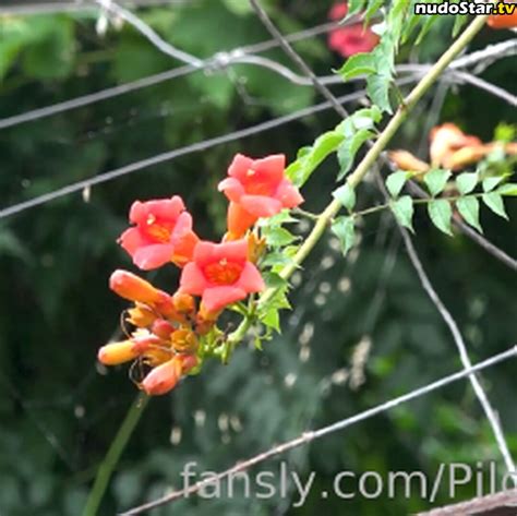 Cinderella Girl Cinderella Story Cinderelagirl Cinderelastory Nude Onlyfans Photo