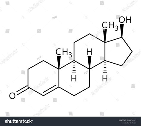 Testosterone Molecular Structure Testosterone Primary Sex Stock Vector Royalty Free