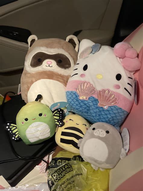late night walgreens squish haul! : r/squishmallow