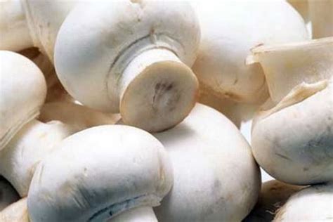 A Complete Guide To Profitable Mushroom Farming In India Read