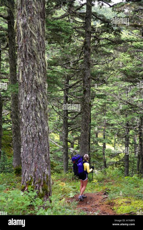 Backpacking On The Lost Lake Trail Kenai Peninsula Chugach National