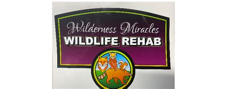 Donate To Wilderness Miracles Wildlife Rehab Inc To Share In 500000