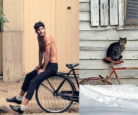 Hot Men And Their Feline Counterparts Barnorama