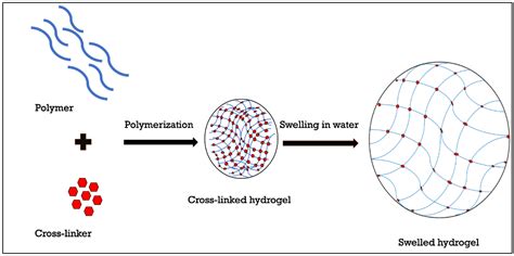 overview  hydrogels     hyaluronic acid based hydrogels
