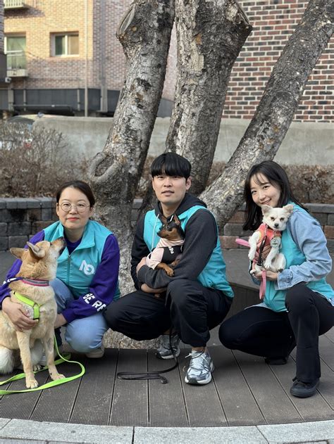 게시판 에어서울 인천 유기견보호소 봉사활동·사료 기부 연합뉴스