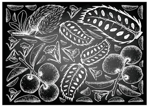 Premium Vector Hand Drawn Of Tallow Plum And Soursop On Chalkboard