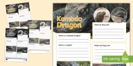 Ks How To Look After A Lizard Differentiated Reading Comprehension