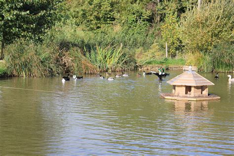 Flyte So Fancy The Puddleduck Duck House And Keeping Ducks