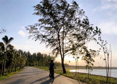 Easy Guide To Singapore Park Connector Network Honeykids Asia