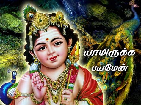 Download Lord Murugan With Big Peacock Background Wallpaper ...